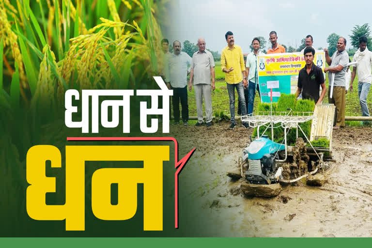 Paddy Transplanter
