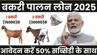 Bakri Palan Farm Yojana 2025