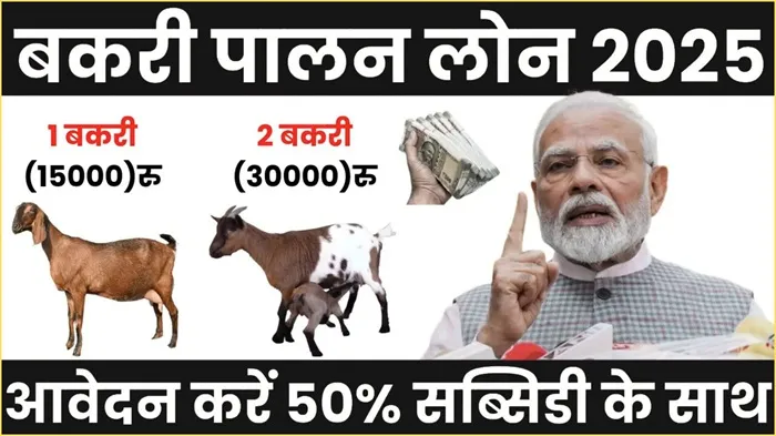 Bakri Palan Farm Yojana 2025