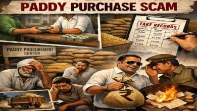 CG Paddy Scam