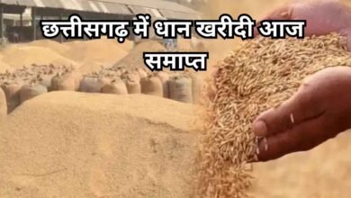 CG Dhan Kharidi News