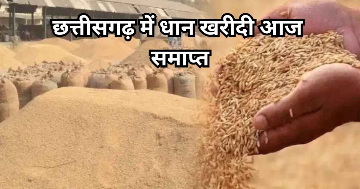 CG Dhan Kharidi News