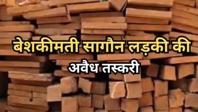 सागौन चिरान जब्त